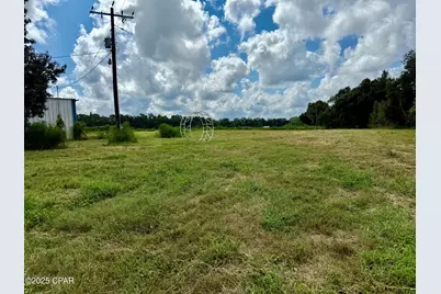 3560 Peanut Road, Cottondale, FL 32431 - Photo 8