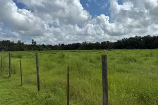 3560 Peanut Rd, Cottondale, FL 32431 - Photo 14