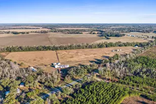 3560 Peanut Rd, Cottondale, FL 32431 - Photo 24