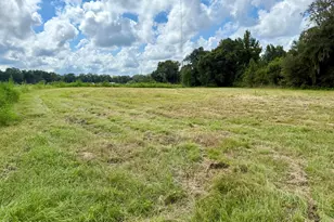 3560 Peanut Rd, Cottondale, FL 32431 - Photo 10