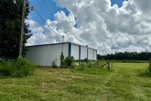 3560 Peanut Rd, Cottondale, FL 32431 - Photo 6