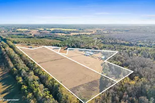 3560 Peanut Rd, Cottondale, FL 32431 - Photo 2