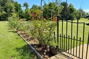 3380 Caverns Rd, Marianna, FL 32446 - Photo 30