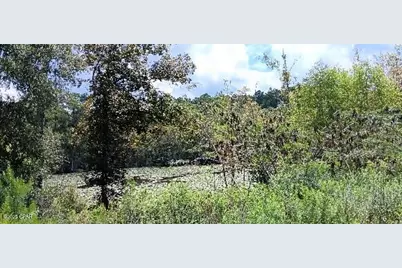 2006 Posey Acres Road, Chipley, FL 32428 - Photo 4