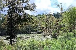 2006 Posey Acres Rd, Chipley, FL 32428 - Photo 4