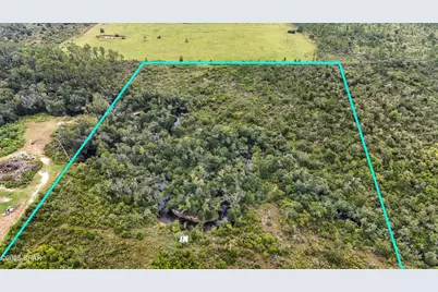 0 Jarrott Daniels Road, Wewahitchka, FL 32465 - Photo 4