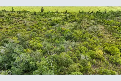 0 Jarrott Daniels Road, Wewahitchka, FL 32465 - Photo 10