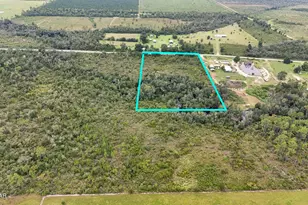 0 Jarrott Daniels Rd, Wewahitchka, FL 32465 - Photo 1