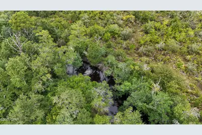 0 Jarrott Daniels Road, Wewahitchka, FL 32465 - Photo 16