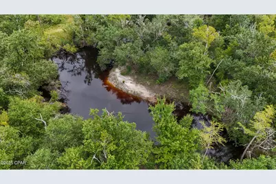 0 Jarrott Daniels Road, Wewahitchka, FL 32465 - Photo 12