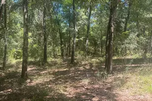 00 Dove Ct, Chipley, FL 32428 - Photo 1