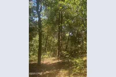 00 Dove Court, Chipley, FL 32428 - Photo 4