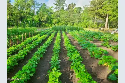 3130 Magnolia Drive, Chipley, FL 32428 - Photo 72