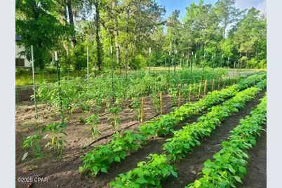 3130 Magnolia Drive, Chipley, FL 32428 - Photo 74