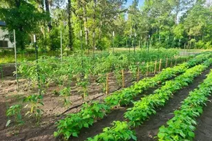 3130 Magnolia Dr, Chipley, FL 32428 - Photo 74