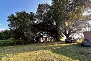 4170 Wintergreen Rd, Greenwood, FL 32443 - Photo 6