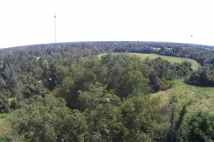 2634 Sandy Rd, Marianna, FL 32448 - Photo 30