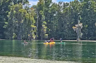 4918 Flynt Dr, Marianna, FL 32446 - Photo 48