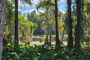 4918 Flynt Dr, Marianna, FL 32446 - Photo 2