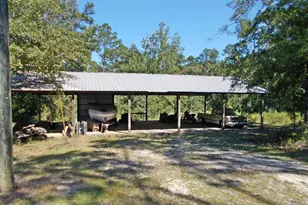 702 Moonseed Ln, Chipley, FL 32428 - Photo 18