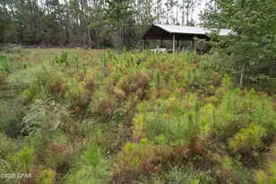 702 Moonseed Ln, Chipley, FL 32428 - Photo 30