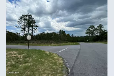 0000 Tippet Street, Chipley, FL 32428 - Photo 2