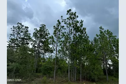 0000 Tippet Street, Chipley, FL 32428 - Photo 1