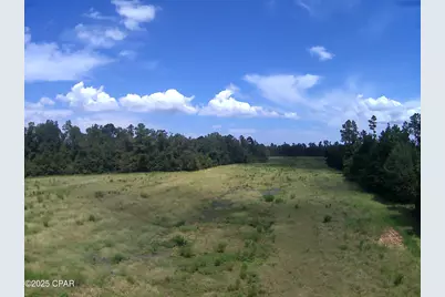 3376 Kynesville Road, Cottondale, FL 32431 - Photo 2