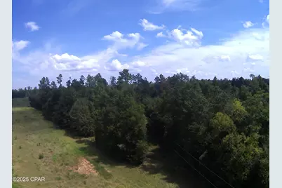 3376 Kynesville Road, Cottondale, FL 32431 - Photo 8