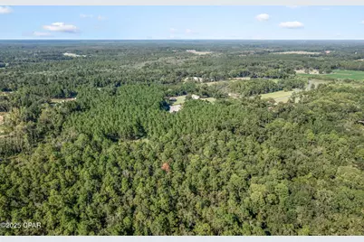 630 Hutchison Road, Chipley, FL 32428 - Photo 92