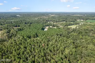 630 Hutchison Rd, Chipley, FL 32428 - Photo 92