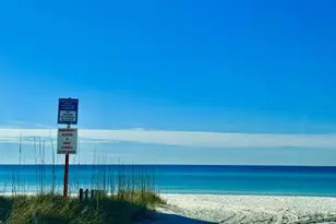 228 Walton Magnolia Ln, Inlet Beach, FL 32461 - Photo 24