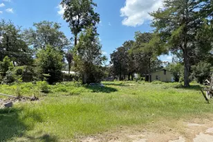 5491 Brown St, Graceville, FL 32440 - Photo 18