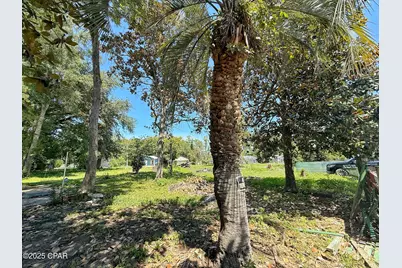 5491 Brown Street, Graceville, FL 32440 - Photo 4