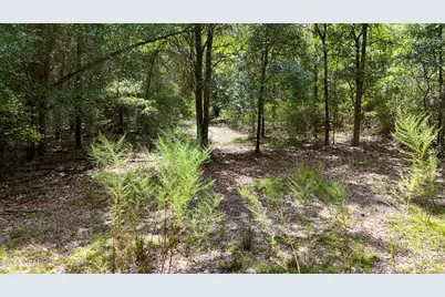1730 Firetower Road, Chipley, FL 32428 - Photo 42