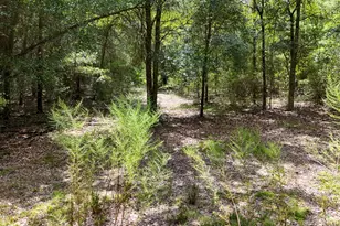 1730 Firetower Rd, Chipley, FL 32428 - Photo 42