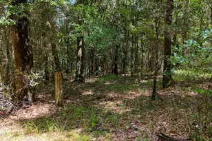 1730 Firetower Rd, Chipley, FL 32428 - Photo 38