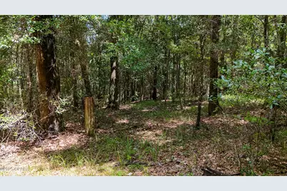 1730 Firetower Road, Chipley, FL 32428 - Photo 38
