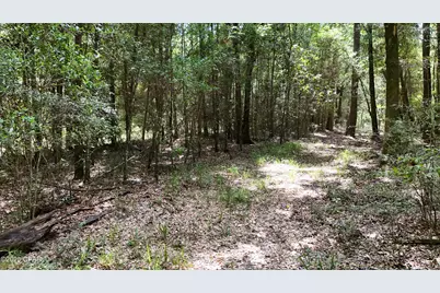1730 Firetower Road, Chipley, FL 32428 - Photo 40