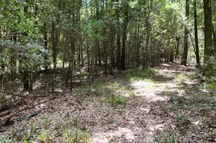 1730 Firetower Rd, Chipley, FL 32428 - Photo 40