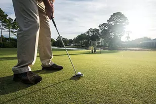 11347 Front Beach Rd, Panama City Beach, FL 32407 - Photo 70