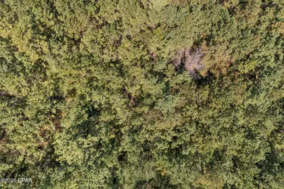 000 Hwy 162 (Tri County Road), Bonifay, FL 32425 - Photo 24