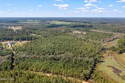 000 Hwy 162 (Tri County Road), Bonifay, FL 32425 - Photo 14