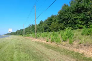 00 Hightower Rd, Vernon, FL 32462 - Photo 1