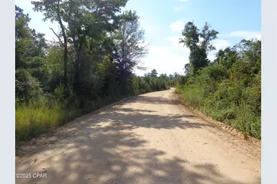 00 Hightower Road, Vernon, FL 32462 - Photo 4