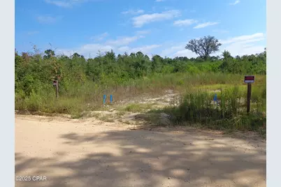 00 Hightower Road, Vernon, FL 32462 - Photo 6