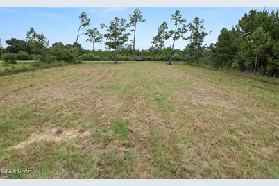 252 Jarrot Daniels Road, Wewahitchka, FL 32465 - Photo 6