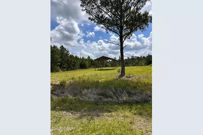 252 Jarrot Daniels Road, Wewahitchka, FL 32465 - Photo 4