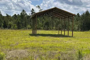 252 Jarrot Daniels Rd, Wewahitchka, FL 32465 - Photo 1