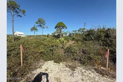 0 County Rd 30A, Port Saint Joe, FL 32456 - Photo 8